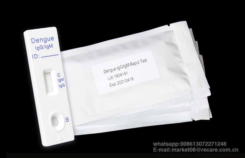 dengue rapid test kit price