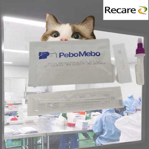 parvo test for cats